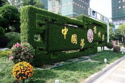匠心定制，廠價(jià)直供 四川綠維文旅打造城市景觀綠雕與花海藝術(shù)精品
